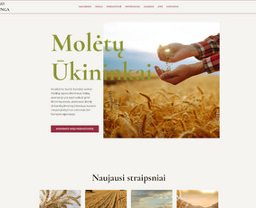 Internetinių svetainių kūrimas. 15+ metų patirtis / Senu/<as Design / Darbų pavyzdys ID 3817828
