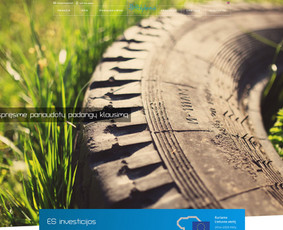 Internetinių svetainių kūrimas. 15+ metų patirtis / Senu/<as Design / Darbų pavyzdys ID 3817830