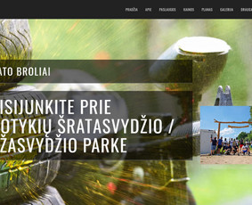 Internetinių svetainių kūrimas. 15+ metų patirtis / Senu/<as Design / Darbų pavyzdys ID 3817838