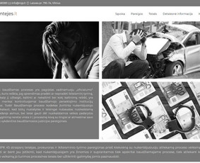 Internetinių svetainių kūrimas. 15+ metų patirtis / Senu/<as Design / Darbų pavyzdys ID 3818058