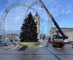 Statybos, apdaila - Krano nuoma, paslaugos - 4