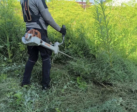 Žolės pjovimas, gyvatvorių karpymas - Pievų šienavimas - 2 Pievų šienavimas - Žolės pjovimas, gyvatvorių karpymas - 2