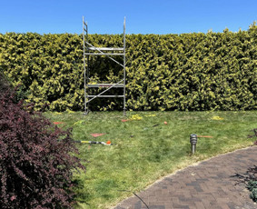 Statybos, apdaila - Skarifikacija, aeracija, genėjimas, apželdinimas - 1