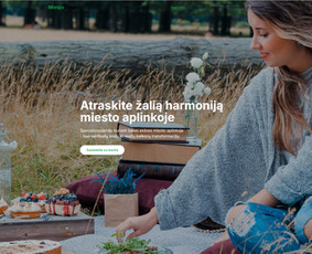 Nestandartiniai interneto sprendimai verslui / IĮ Didinam pardavimus / Donaldas Jautžemis / Darbų pavyzdys ID 3819403