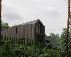 3d Interjero ir Eksterjero Vizualizacijos / Vitalijus Rudokas / Darbų pavyzdys ID 3819469