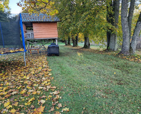 Aplinkos priežiūros darbai, žolės pjovimas / Ingridas Kazlauskas / Darbų pavyzdys ID 3819729
