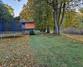 Aplinkos priežiūros darbai, žolės pjovimas / Ingridas Kazlauskas / Darbų pavyzdys ID 3819731