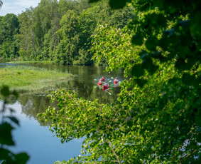 Sodybos nuoma, pirties programos su pirtininku / Angelų malūnas / Darbų pavyzdys ID 3820007
