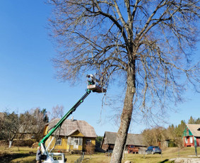 Vejos įrengimas, atnaujinimas, core aeracija, žemės darbai. / Žalias Kiemas / Darbų pavyzdys ID 3821457