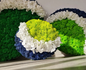 A R Flowers And Moss / AR Flowers and Moss / Darbų pavyzdys ID 3821591