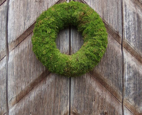 A R Flowers And Moss / AR Flowers and Moss / Darbų pavyzdys ID 3821593