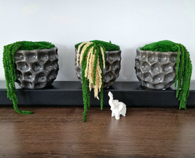 A R Flowers And Moss / AR Flowers and Moss / Darbų pavyzdys ID 3821597