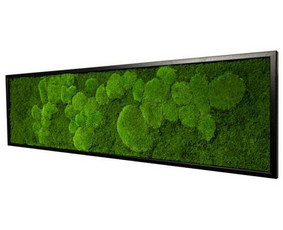 A R Flowers And Moss / AR Flowers and Moss / Darbų pavyzdys ID 3821605