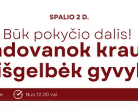 Komunikacijos funkcijų darbai - Banerių kūrimas - 2 Banerių kūrimas - Komunikacijos funkcijų darbai - 2