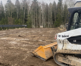 Mini krautuvo nuoma Šiauliuose / Žygimantas / Darbų pavyzdys ID 3822899