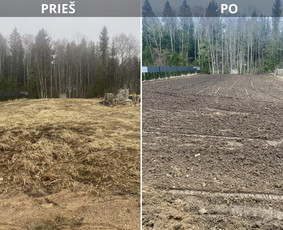 Mini krautuvo nuoma Šiauliuose / Žygimantas / Darbų pavyzdys ID 3822901