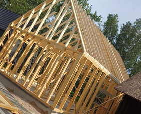 Betonavimo darbus Ir (angaru.invidaliu namu) statyba / Paulius / Darbų pavyzdys ID 3823075