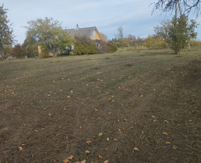 Žolės pjovimas - Vejos įrengimas, aplinkos tvarkymas, kelmų frezavimas. - 3