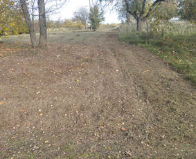 Apleistų sklypų tvarkymas - Vejos įrengimas, aplinkos tvarkymas, kelmų frezavimas. - 2