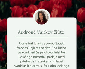 Terapinis koučingas ir psichoterapija, mokymų vedimas / Ugnė Lindžiūtė / Darbų pavyzdys ID 3823591
