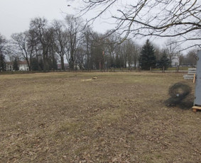 Medžių pjovimas bei genėjimas! Apleistų sklypų tvarkymas / Medžių priežiūra / Darbų pavyzdys ID 3824813