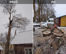 Aukštalipio darbai - Apleistų sklypų tvarkymas - 1 Apleistų sklypų tvarkymas - Aukštalipio darbai - 1