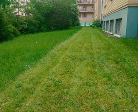 Greitai ir kokybiškai pjaunu žolę - Vejos priežiūra, įrengimas - 2 Vejos priežiūra, įrengimas - Greitai ir kokybiškai pjaunu žolę - 2