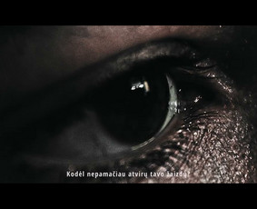 Videografas - fotografas - vaizdo montuotojas - koloristas / Evaldas Nemanis / Darbų pavyzdys ID 3826163