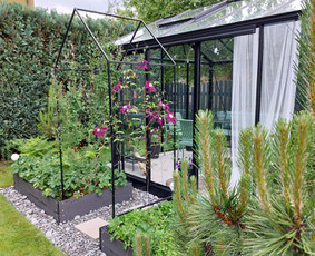 Verslo erdvių apželdinimas - Vidaus augalų priežiūra - 3 Vidaus augalų priežiūra - Verslo erdvių apželdinimas - 3