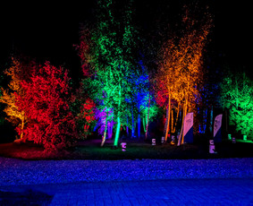 Dj paslaugos, renginių įgarsinimas ir apšvietimas / Disco.lt / Darbų pavyzdys ID 3827803
