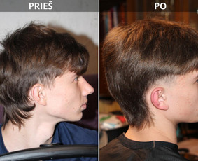 Kirpimo paslaugos su iškvietimu į namus Vilniuje. / Natalija Tumkevič / Darbų pavyzdys ID 3827895