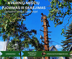 Avarinių medžių pjovimo paslaugos. / Rimas. M.- (Aboristas) / Darbų pavyzdys ID 3827999