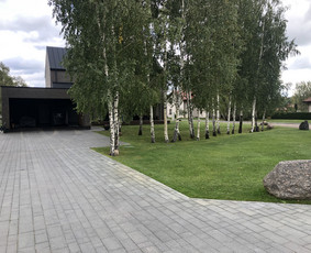 Jūsų kieme, mūsų rūpestis.“ / UAB Bobcatukas / Darbų pavyzdys ID 3828897