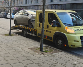 Tralas Traliukas Techninė Pagalba Kelyje Kaunas-lietuva / Rimvio_traliukas / Darbų pavyzdys ID 3830549
