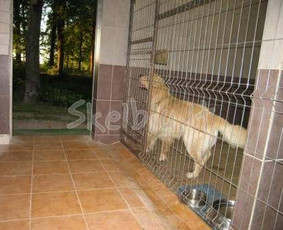 Šunų ir kačių viešbutis - Šunų viešbučiai, vedžiojimas, priežiūra - 2 Šunų viešbučiai, vedžiojimas, priežiūra - Šunų ir kačių viešbutis - 2