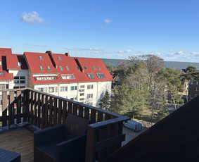 Visi medžio darbai, karkasiniai namai, terasos / Kęstutis / Darbų pavyzdys ID 3831409