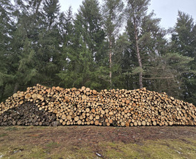 Tradiciniai amatai - Malkos rąsteliais ir kaladėmis - 1