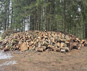 Tradiciniai amatai - Malkos rąsteliais ir kaladėmis - 2