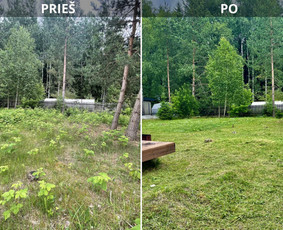 Vejos pjovimo paslaugos - Žemės frezavimas - 3 Žemės frezavimas - Vejos pjovimo paslaugos - 3