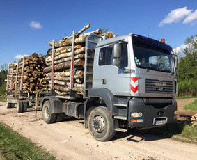 Kokybiškos Lapuočių Malkos, Klaipėda / Vitalijus / Darbų pavyzdys ID 832289