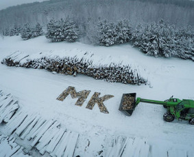 Kokybiškos Lapuočių Malkos, Klaipėda / Vitalijus / Darbų pavyzdys ID 832313