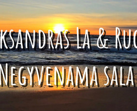 Muzikantai, atlikėjai, vedėjas / Aleksandras La & Rugilė / Darbų pavyzdys ID 3835383