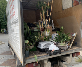 Statybinių atliekų ir šiukšlių išvežimas Vilniuje / MOVEPRO / Darbų pavyzdys ID 3835581