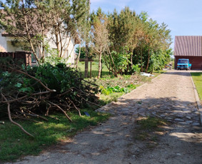 Kelmų frezavimas šaku smulkintuvo nuoma / Vyt Autas / Darbų pavyzdys ID 3835597