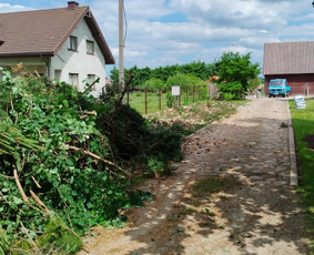 Kelmų frezavimas šaku smulkintuvo nuoma / Vyt Autas / Darbų pavyzdys ID 3835599