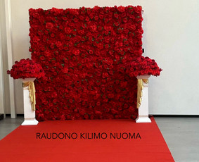 Gėlių Foto Sienų ir dekoracijų nuoma Jūsų šventei - Šventinės įrangos nuoma - 3 Šventinės įrangos nuoma - Gėlių Foto Sienų ir dekoracijų nuoma Jūsų šventei - 3