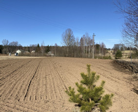 Mini krautuvo nuoma Šiauliuose / Žygimantas / Darbų pavyzdys ID 3838087