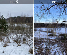 Sklypų tvarkymas: medžių ir krūmų pjovimas su išvežimu. / Albertas Rakuckis / Darbų pavyzdys ID 3839739