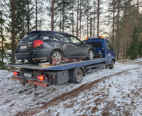 Tralas Utena 24/7 įvairių krovinių pervežimas / Tralas Utena / Darbų pavyzdys ID 3839921