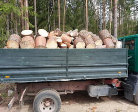 Malkos rąstais - Malkos - 2